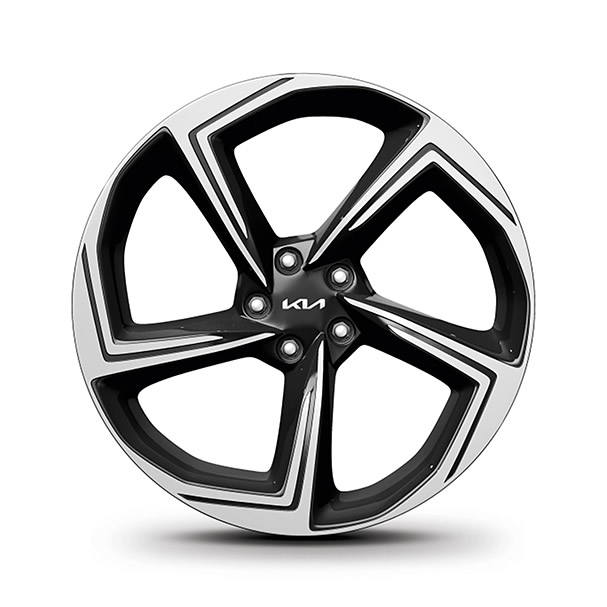 Type-A EV6